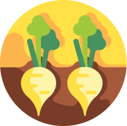 Тестовый альбом